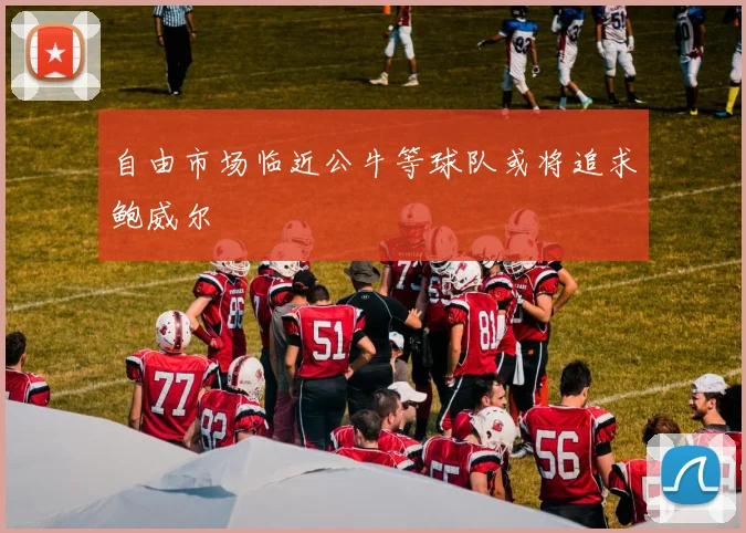 自由市场临近公牛等球队或将追求鲍威尔